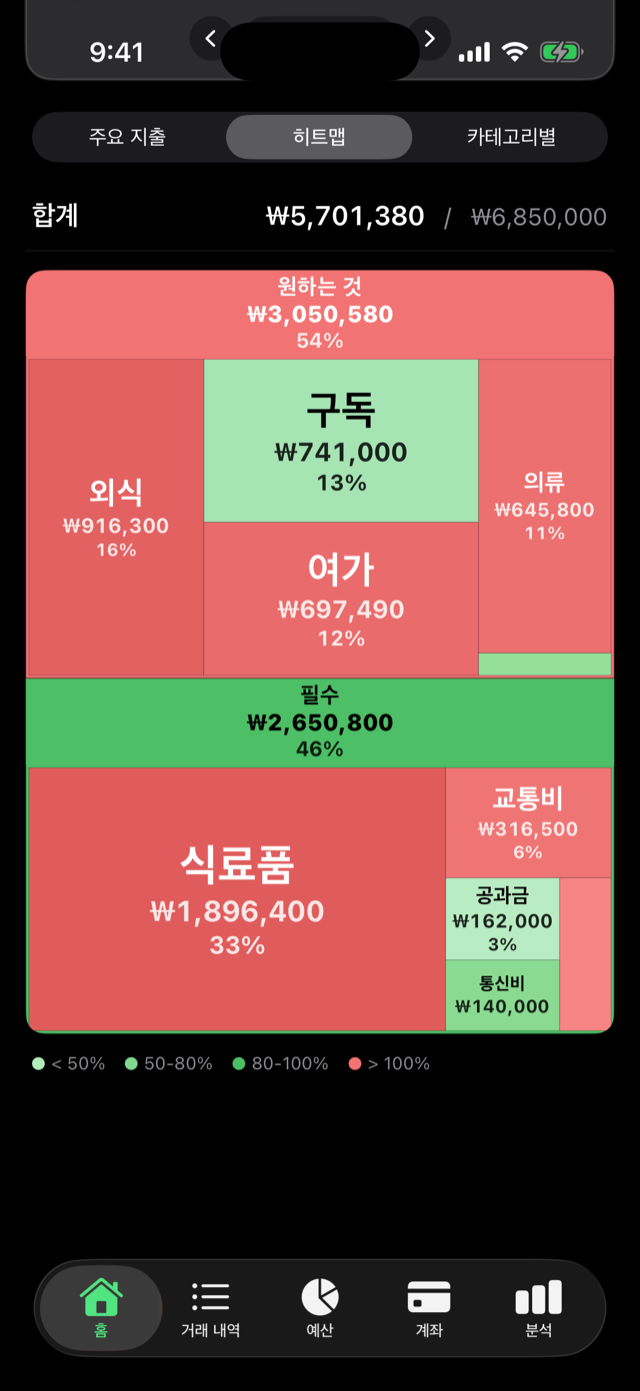 지출 히트맵